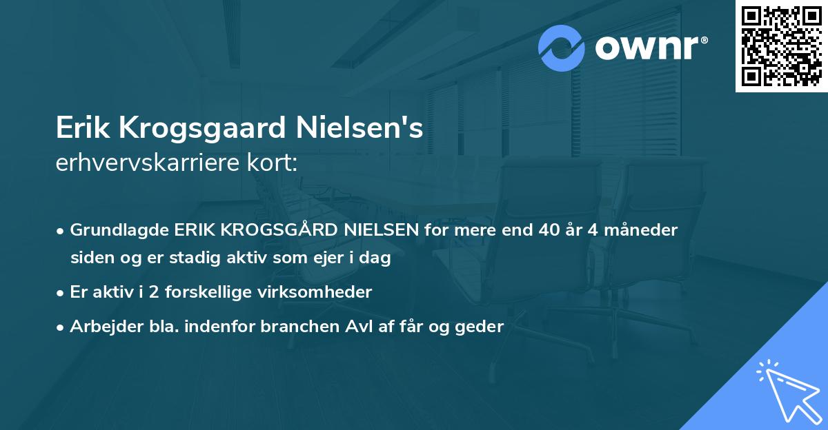 Erik Krogsgaard Nielsen's erhvervskarriere kort
