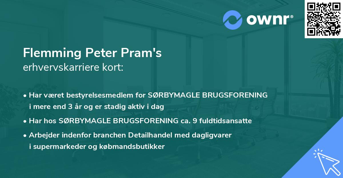 Flemming Peter Pram's erhvervskarriere kort