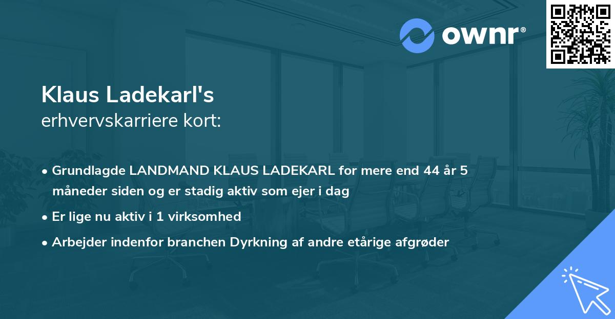 Klaus Ladekarl's erhvervskarriere kort