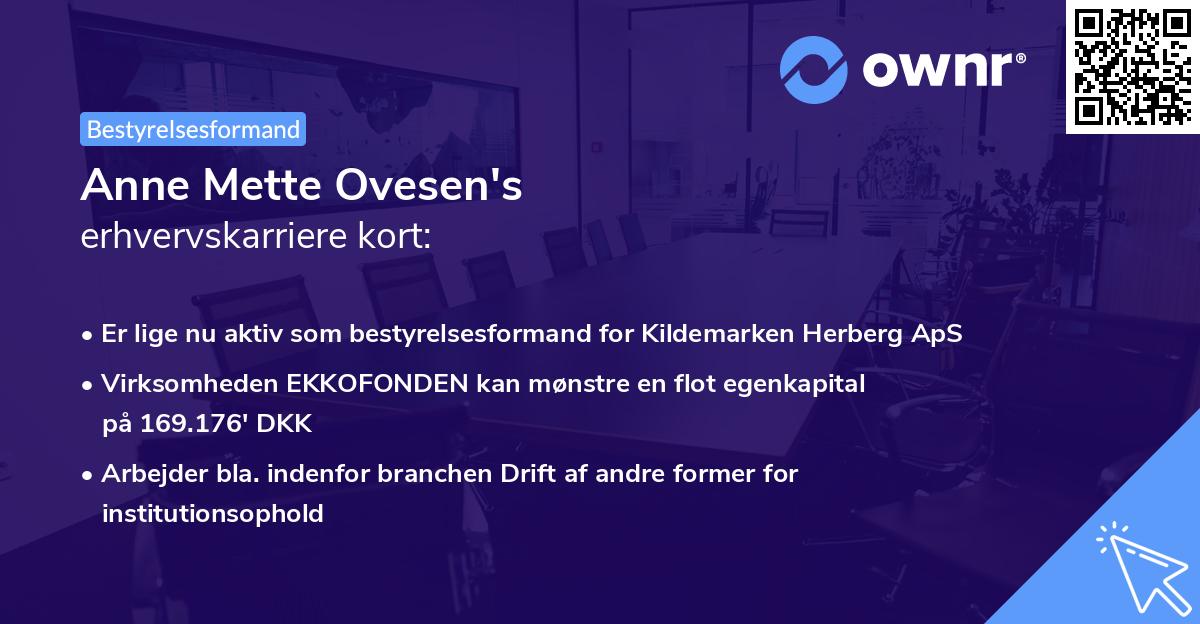 Anne Mette Ovesen's erhvervskarriere kort