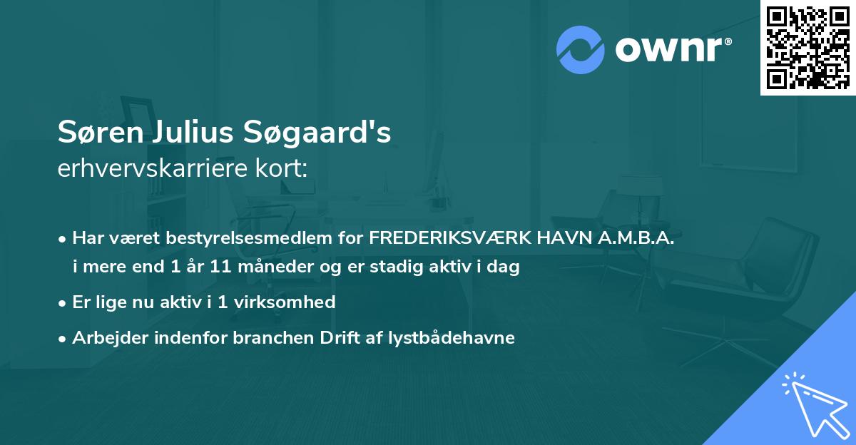 Søren Julius Søgaard's erhvervskarriere kort