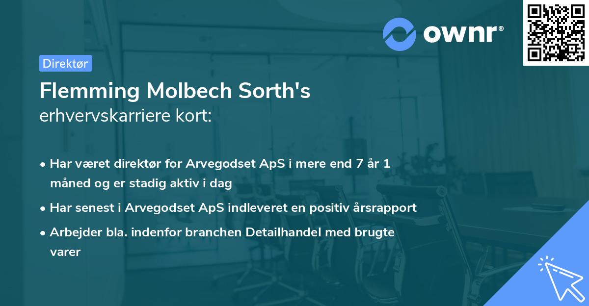 Flemming Molbech Sorth's erhvervskarriere kort