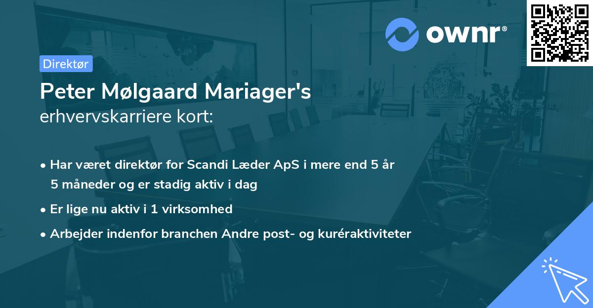 Peter Mølgaard Mariager's erhvervskarriere kort