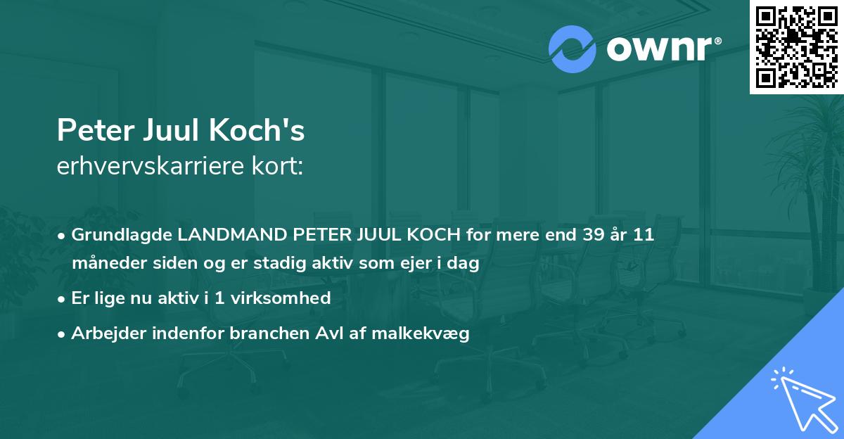 Peter Juul Koch's erhvervskarriere kort
