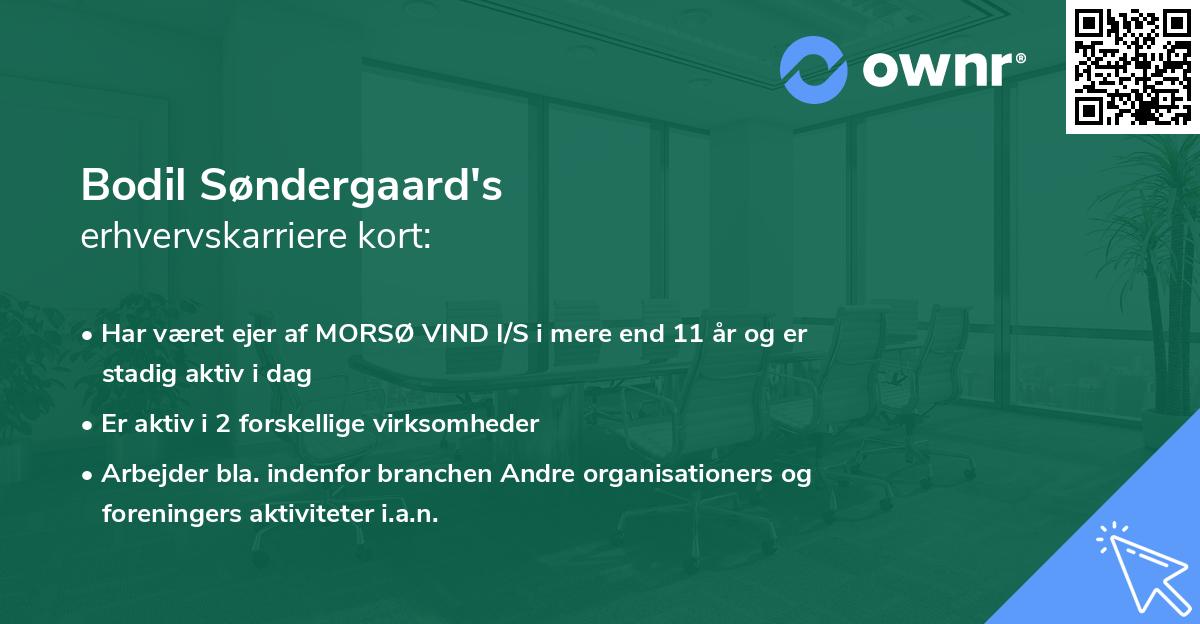 Bodil Søndergaard's erhvervskarriere kort