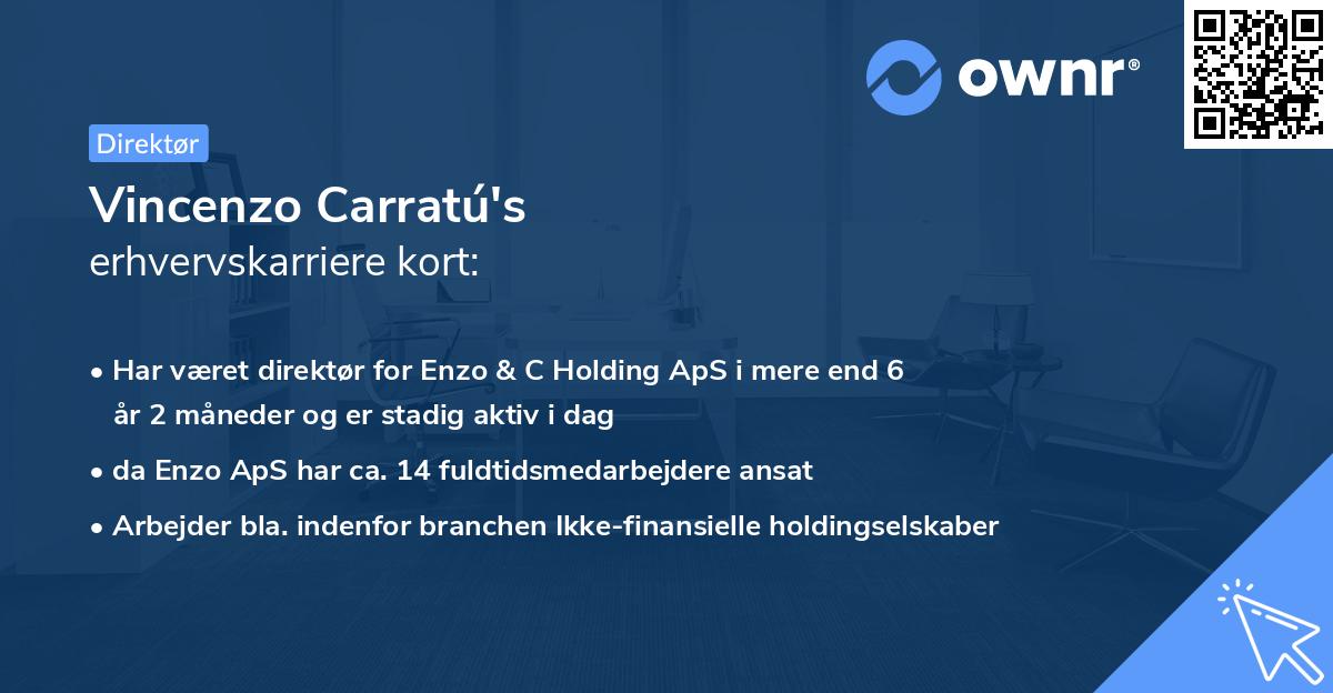 Vincenzo Carratú's erhvervskarriere kort