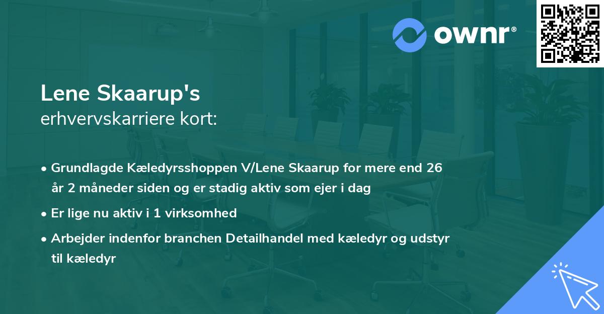 Lene Skaarup's erhvervskarriere kort