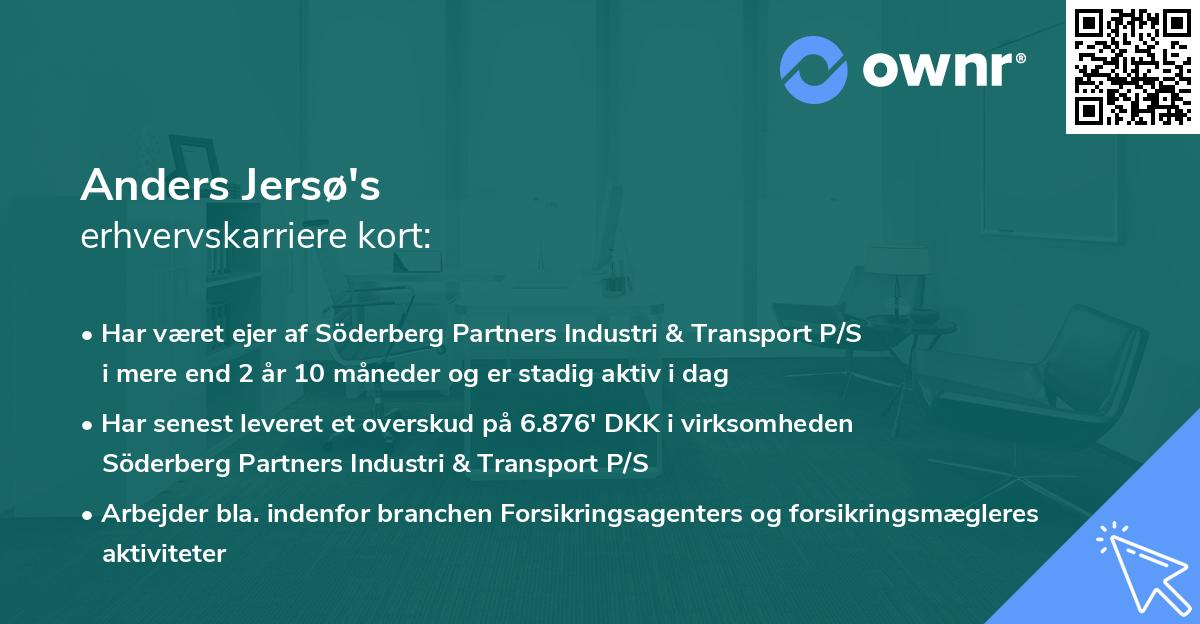 Anders Jersø's erhvervskarriere kort