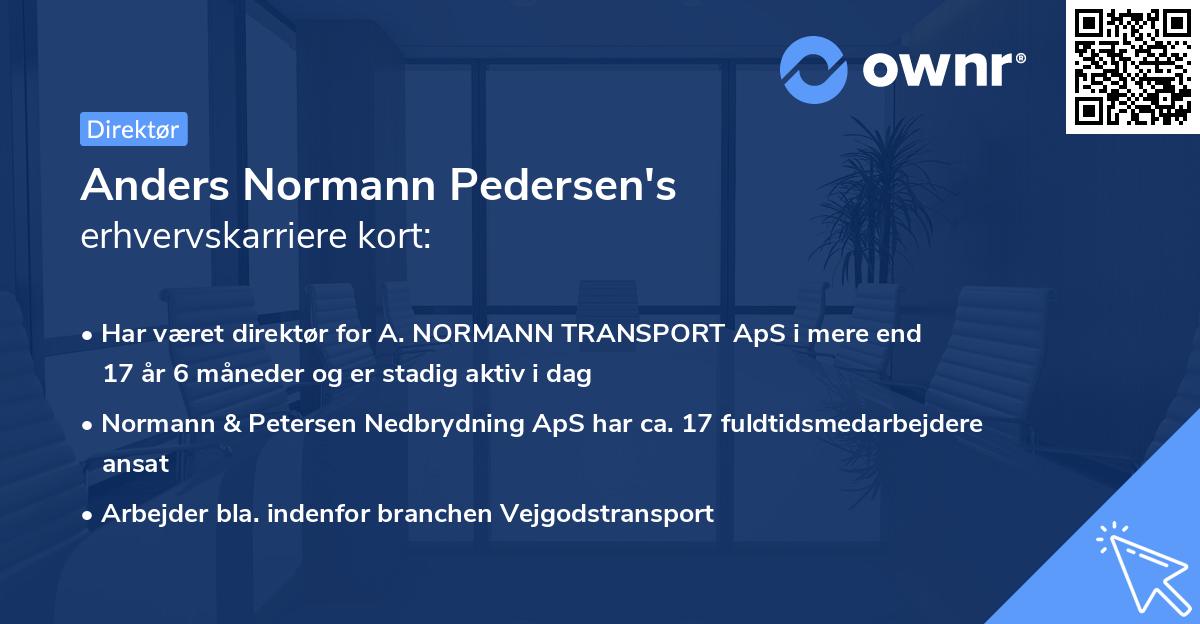 Anders Normann Pedersen's erhvervskarriere kort