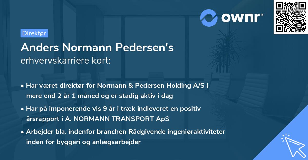 Anders Normann Pedersen's erhvervskarriere kort