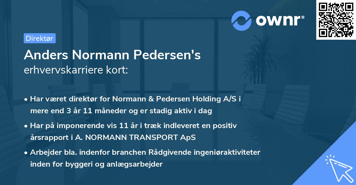 Anders Normann Pedersen's erhvervskarriere kort