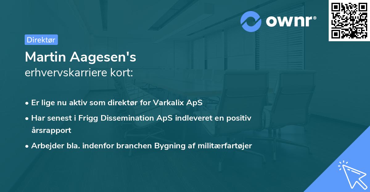 Martin Aagesen's erhvervskarriere kort