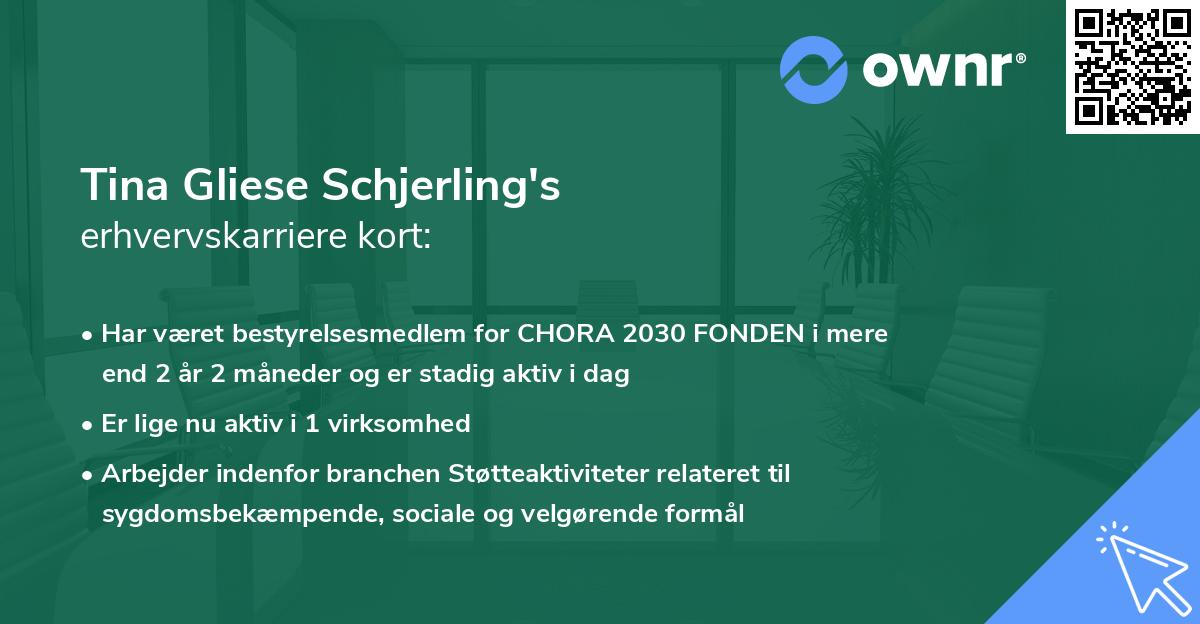 Tina Gliese Schjerling's erhvervskarriere kort
