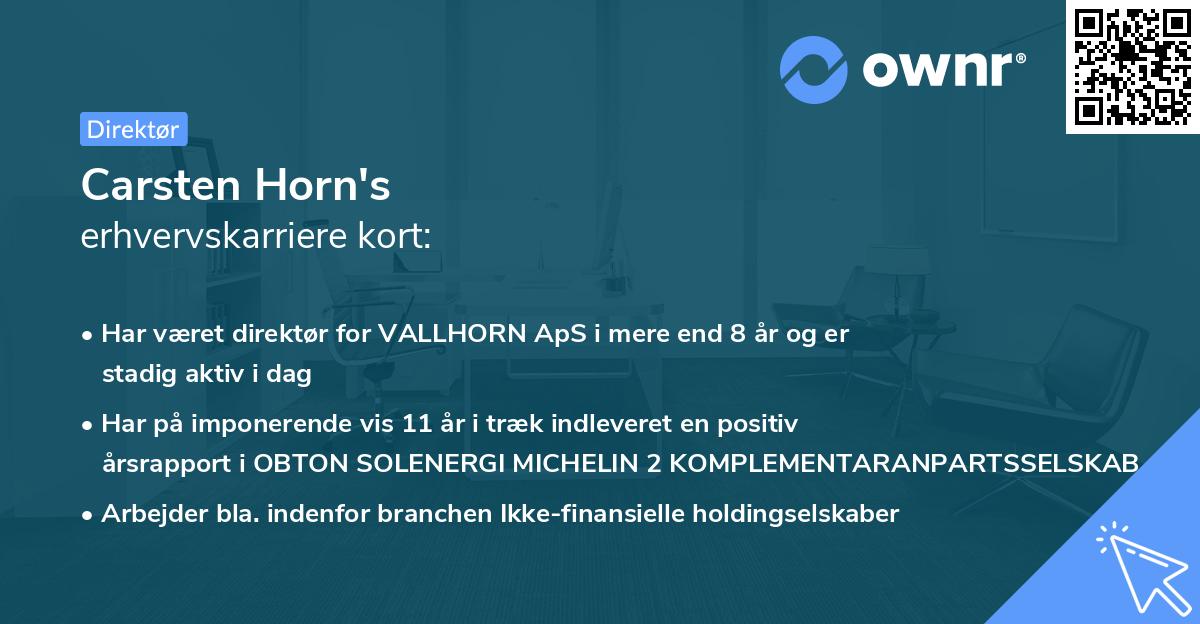 Carsten Horn's erhvervskarriere kort