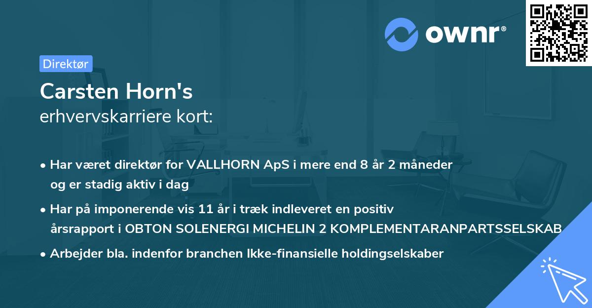 Carsten Horn's erhvervskarriere kort