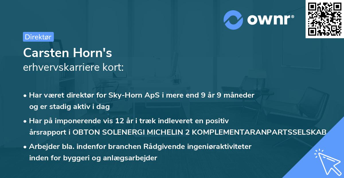 Carsten Horn's erhvervskarriere kort