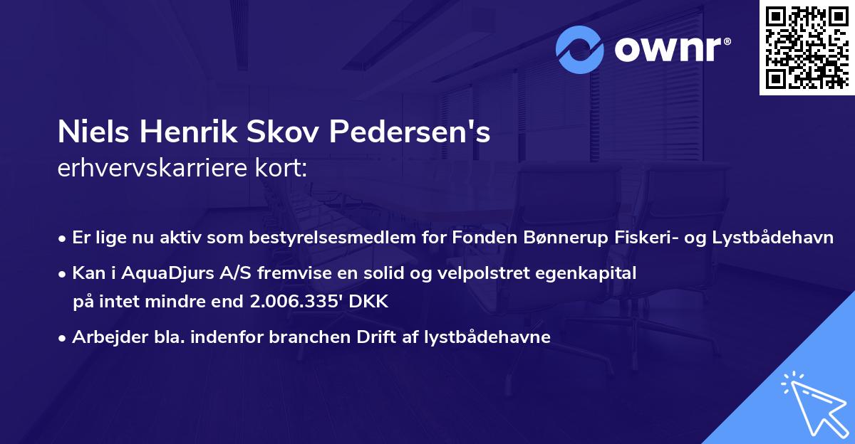 Niels Henrik Skov Pedersen's erhvervskarriere kort
