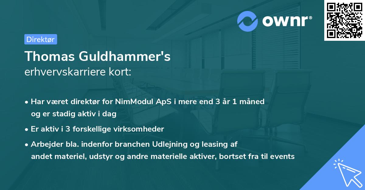 Thomas Guldhammer's erhvervskarriere kort