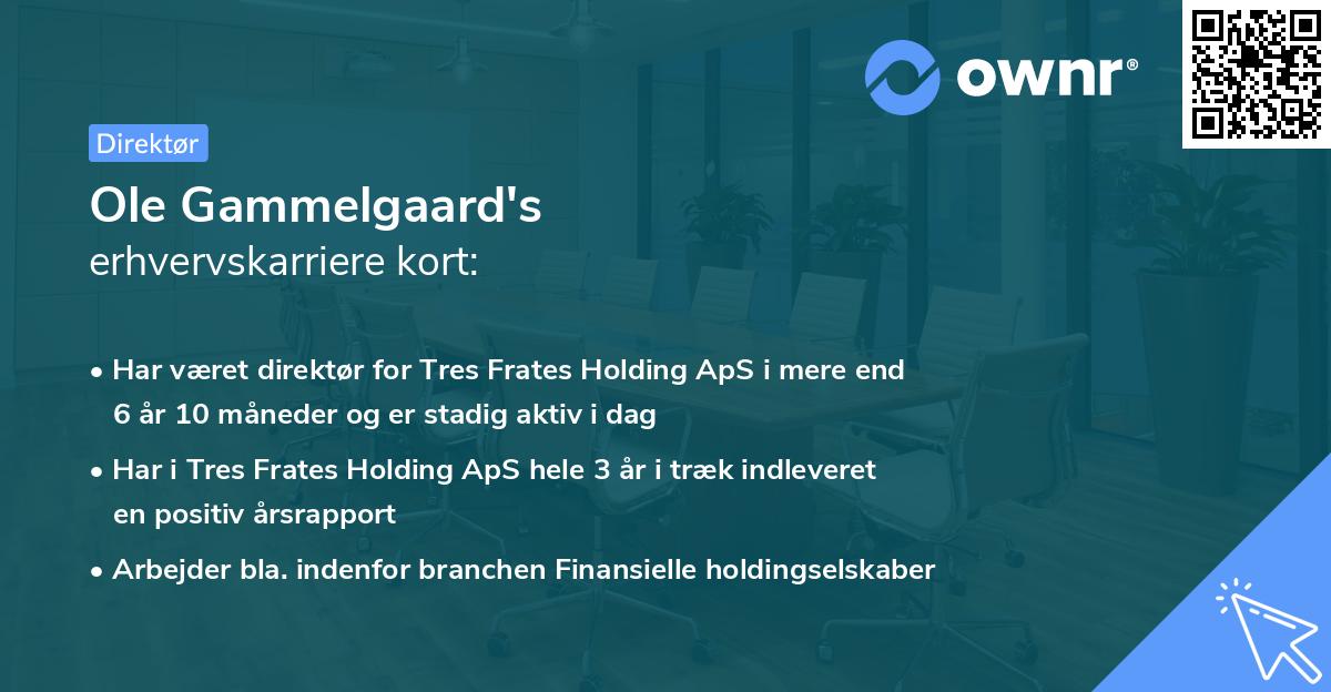 Ole Gammelgaard's erhvervskarriere kort