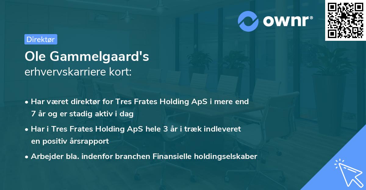 Ole Gammelgaard's erhvervskarriere kort
