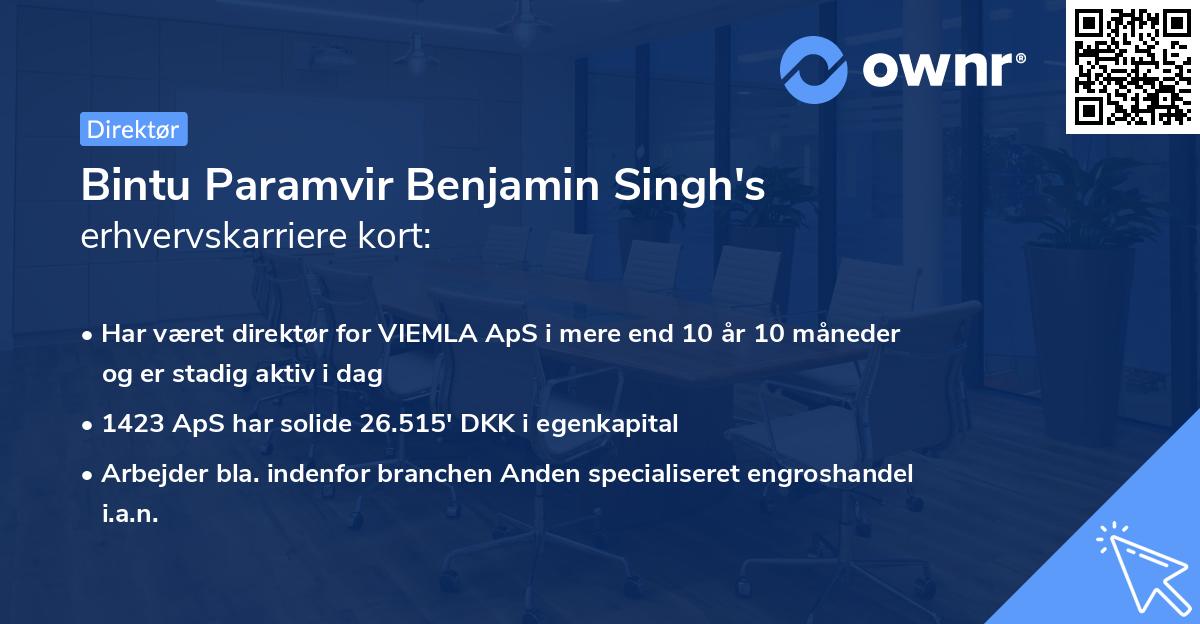 Bintu Paramvir Benjamin Singh's erhvervskarriere kort