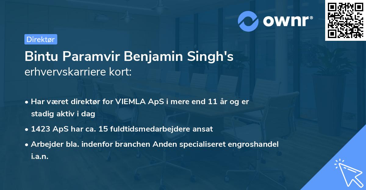 Bintu Paramvir Benjamin Singh's erhvervskarriere kort