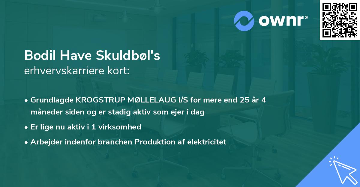 Bodil Have Skuldbøl's erhvervskarriere kort