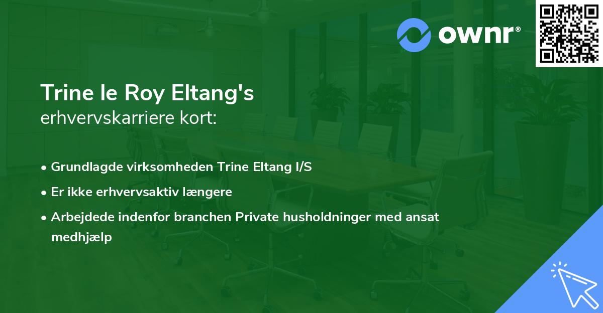 Trine le Roy Eltang's erhvervskarriere kort