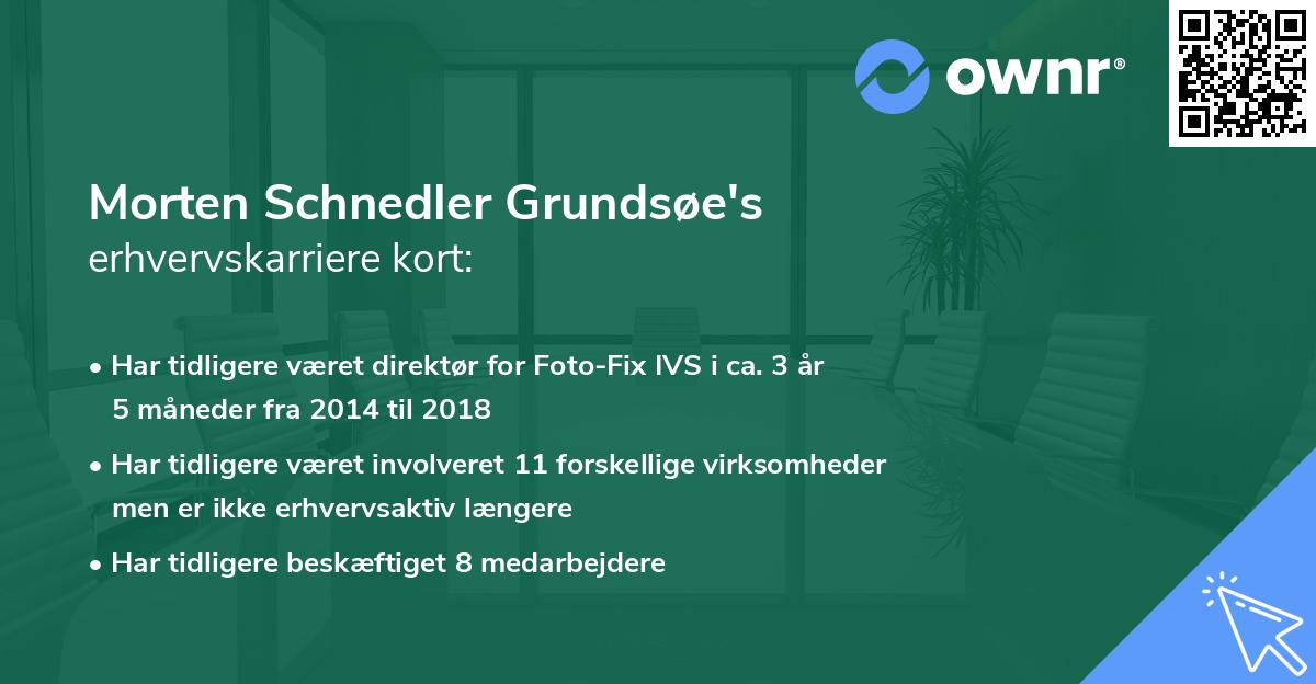 Morten Schnedler Grundsøe's erhvervskarriere kort