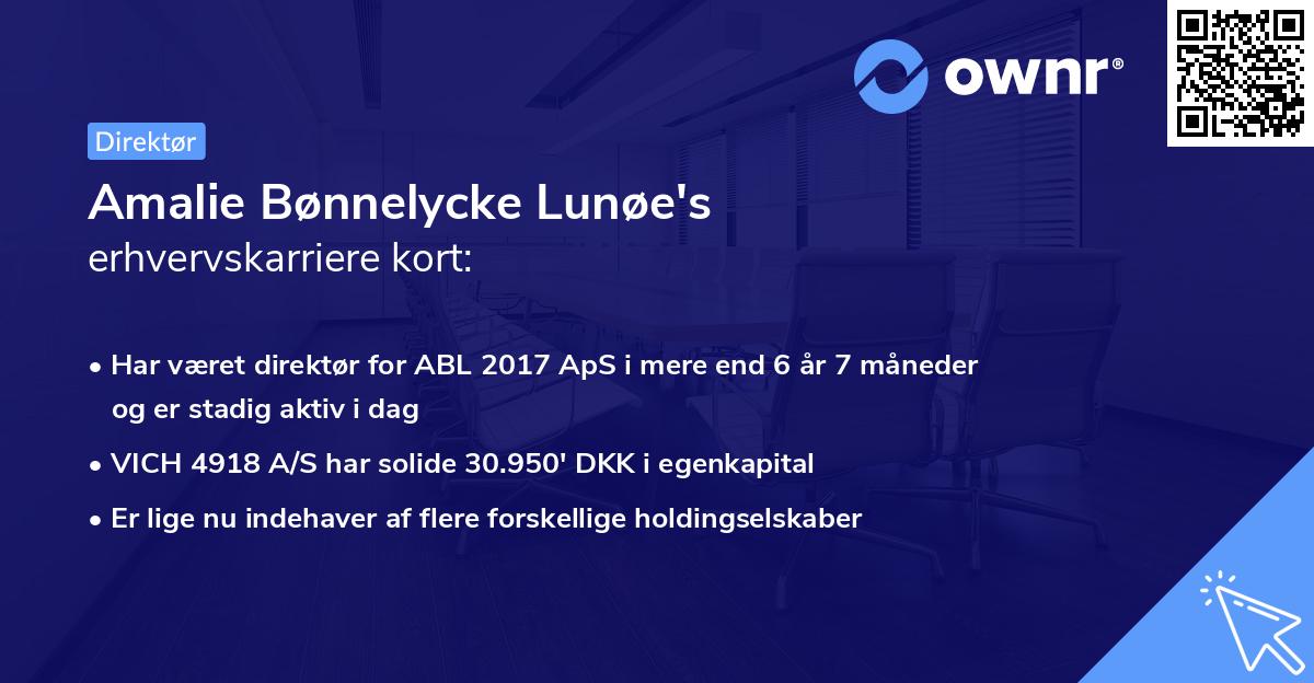 Amalie Bønnelycke Lunøe's erhvervskarriere kort
