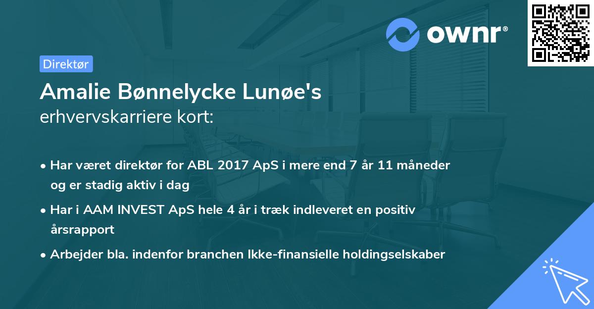 Amalie Bønnelycke Lunøe's erhvervskarriere kort
