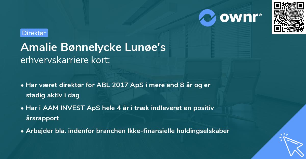 Amalie Bønnelycke Lunøe's erhvervskarriere kort