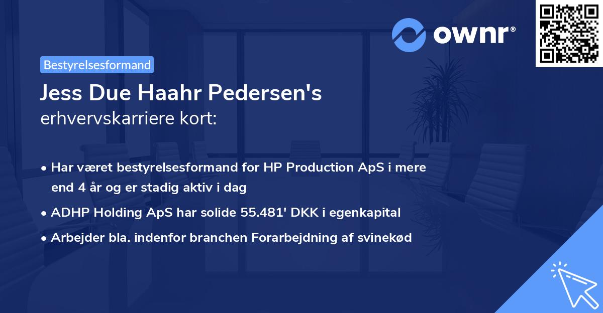 Jess Due Haahr Pedersen's erhvervskarriere kort