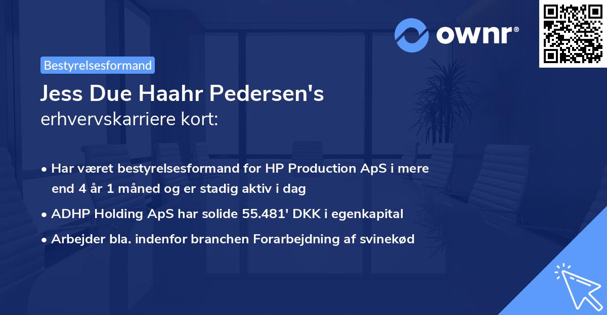 Jess Due Haahr Pedersen's erhvervskarriere kort