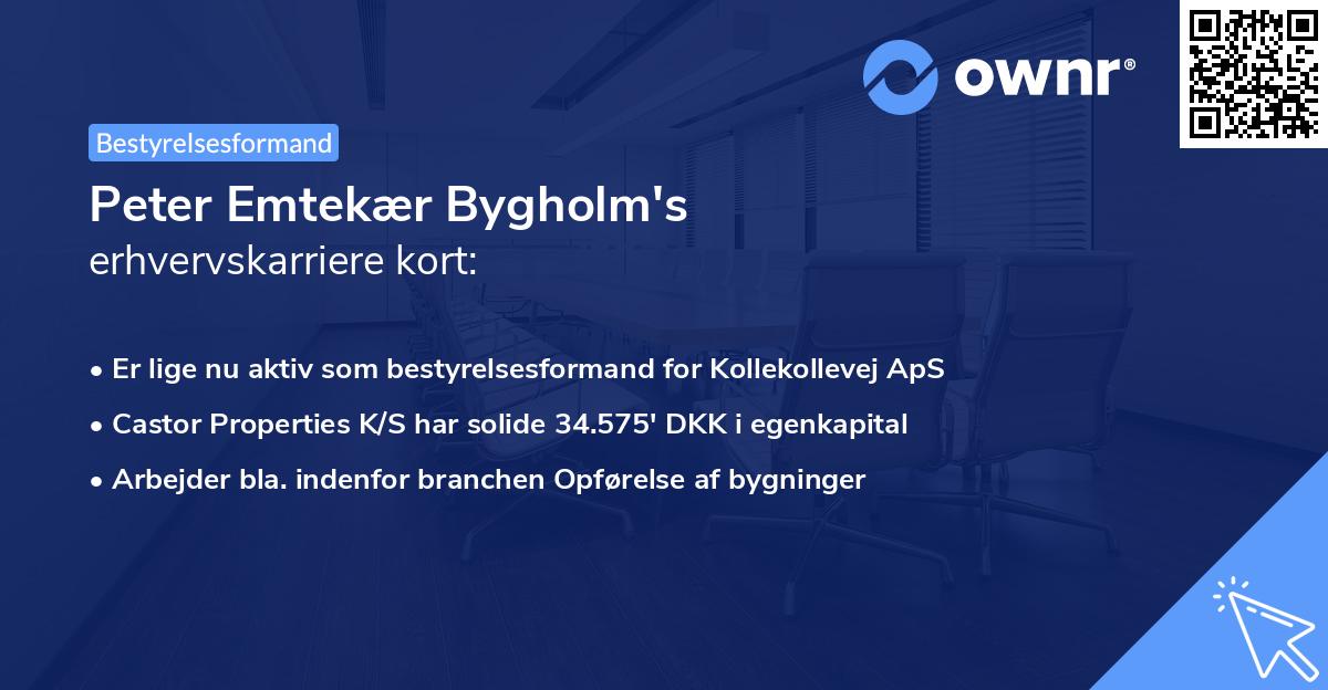 Peter Emtekær Bygholm's erhvervskarriere kort
