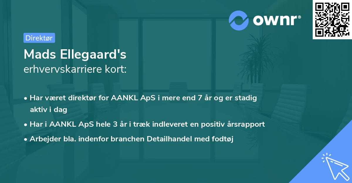 Mads Ellegaard's erhvervskarriere kort