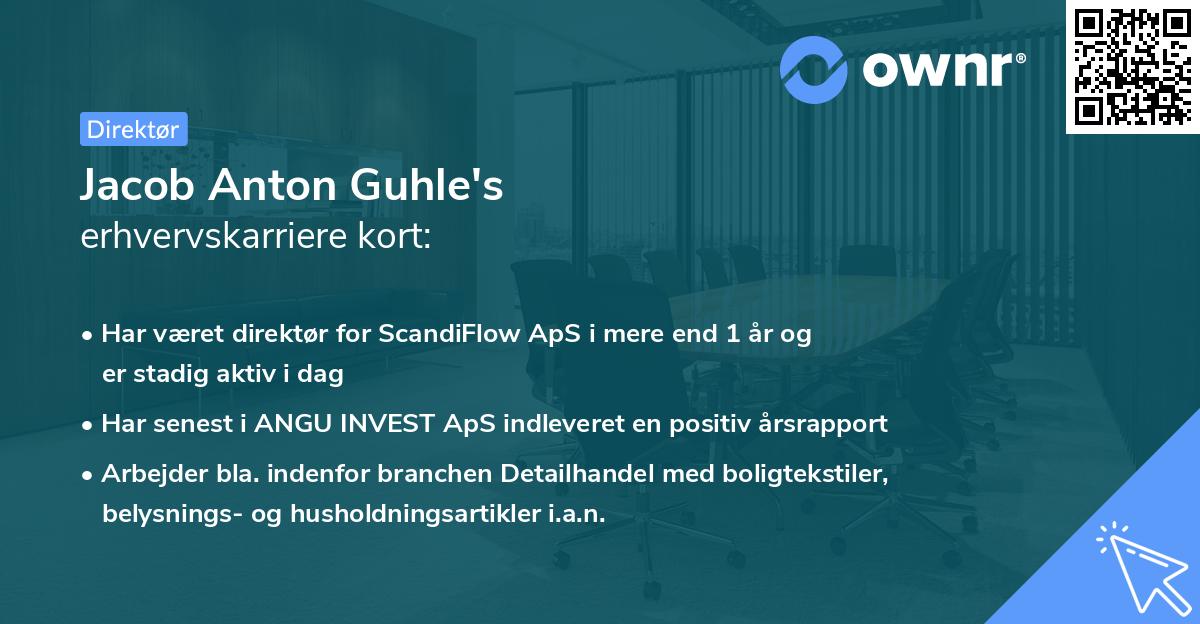 Jacob Anton Guhle's erhvervskarriere kort