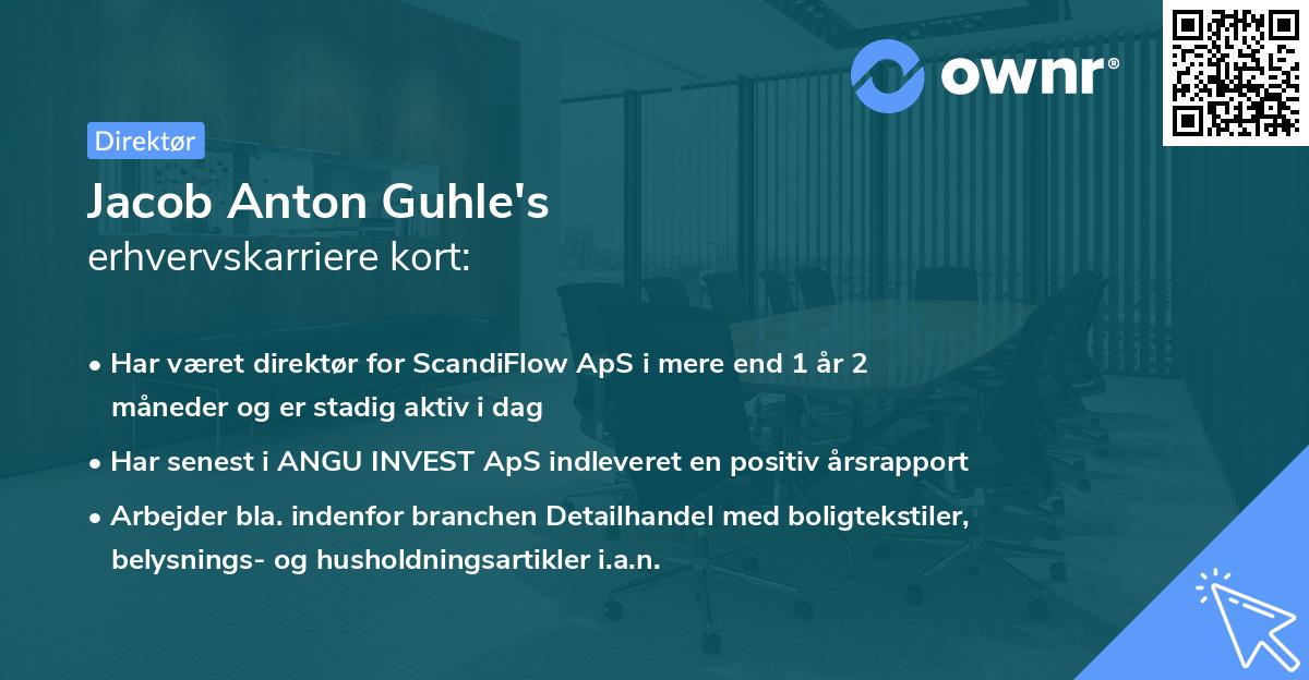 Jacob Anton Guhle's erhvervskarriere kort