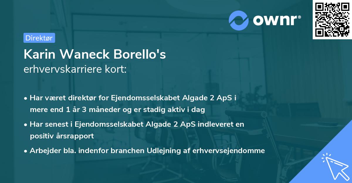 Karin Waneck Borello's erhvervskarriere kort