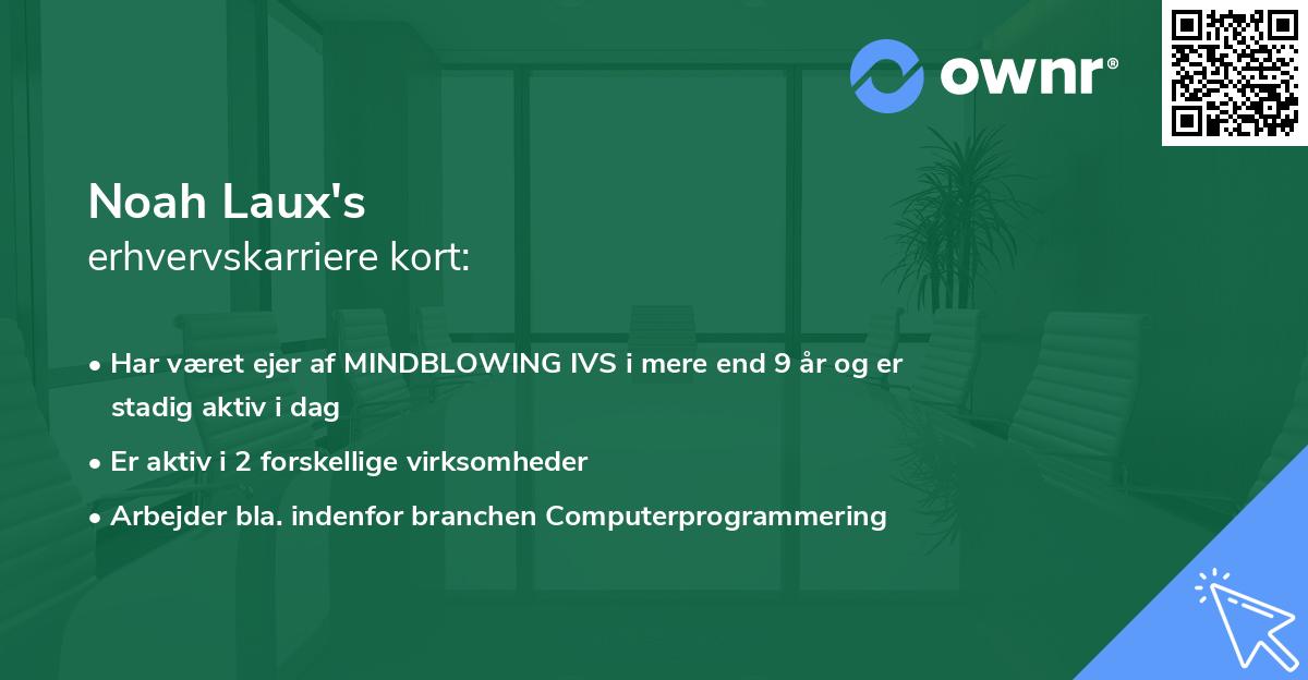 Noah Laux's erhvervskarriere kort