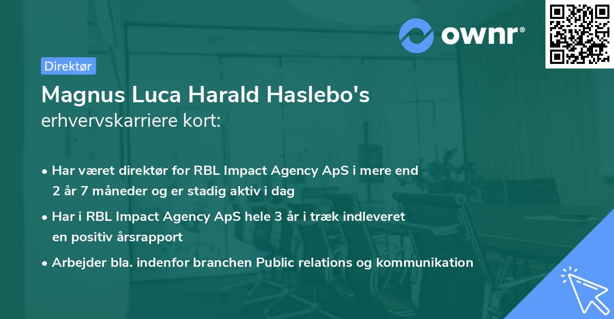 Magnus Luca Harald Haslebo's erhvervskarriere kort