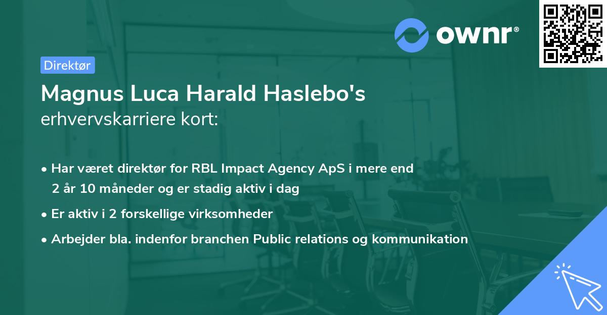 Magnus Luca Harald Haslebo's erhvervskarriere kort