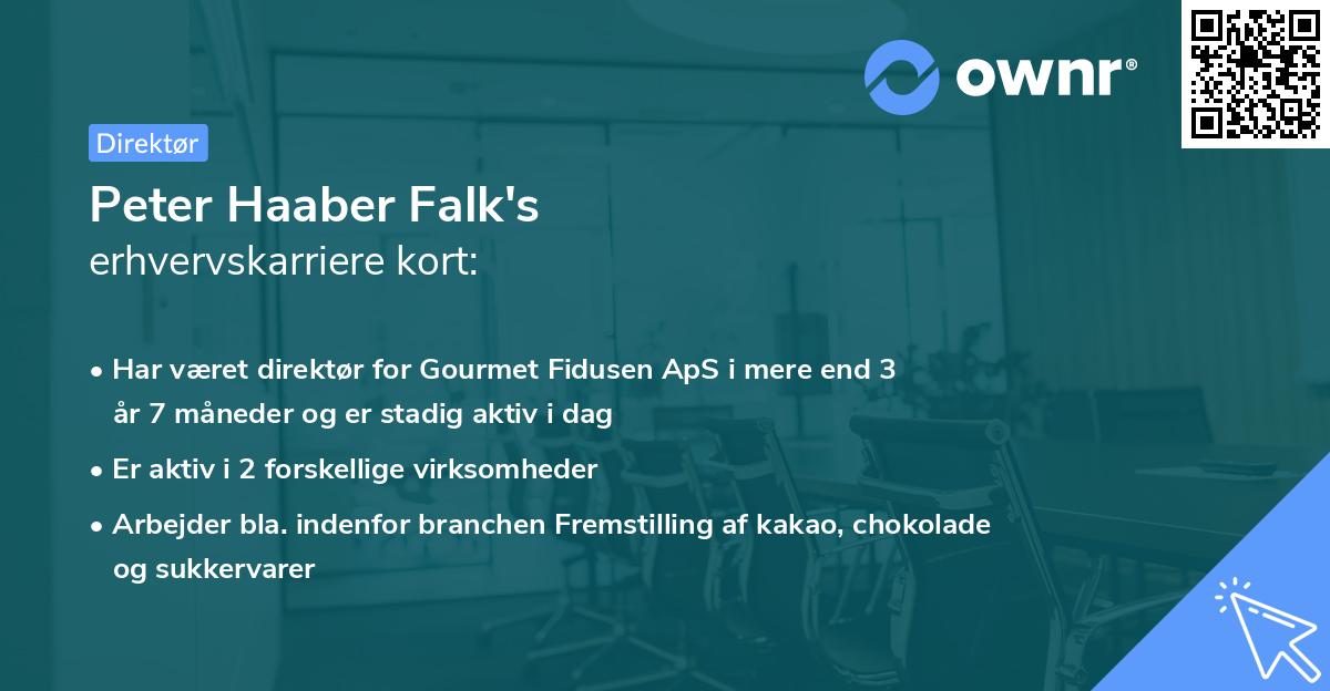 Peter Haaber Falk's erhvervskarriere kort