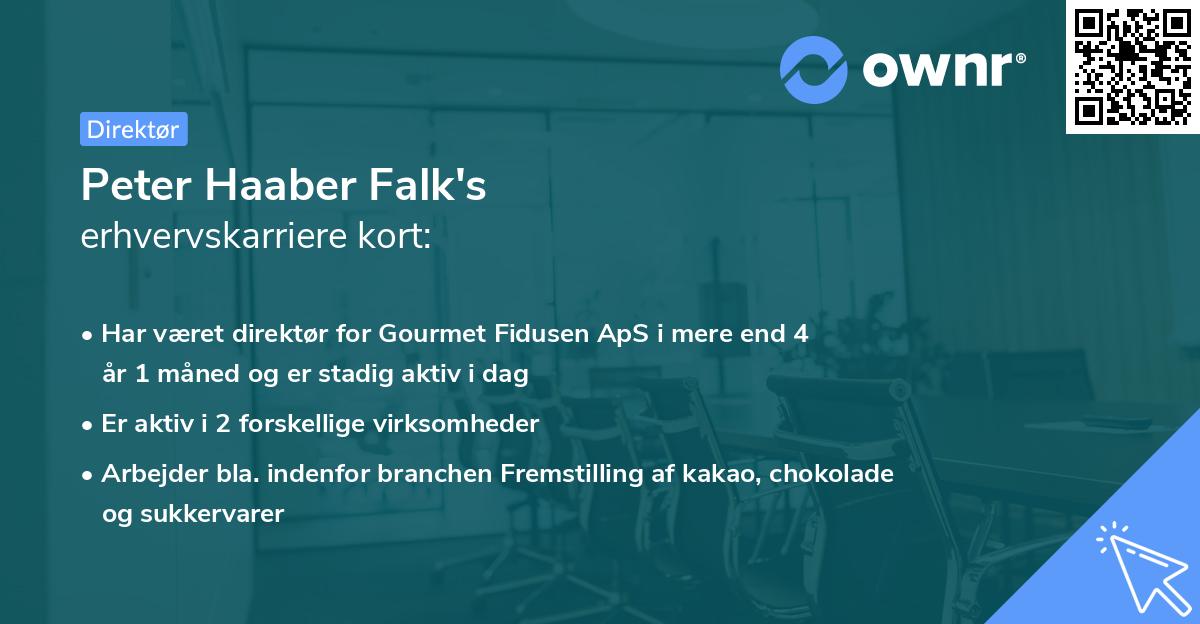 Peter Haaber Falk's erhvervskarriere kort