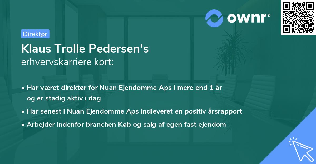 Klaus Trolle Pedersen's erhvervskarriere kort
