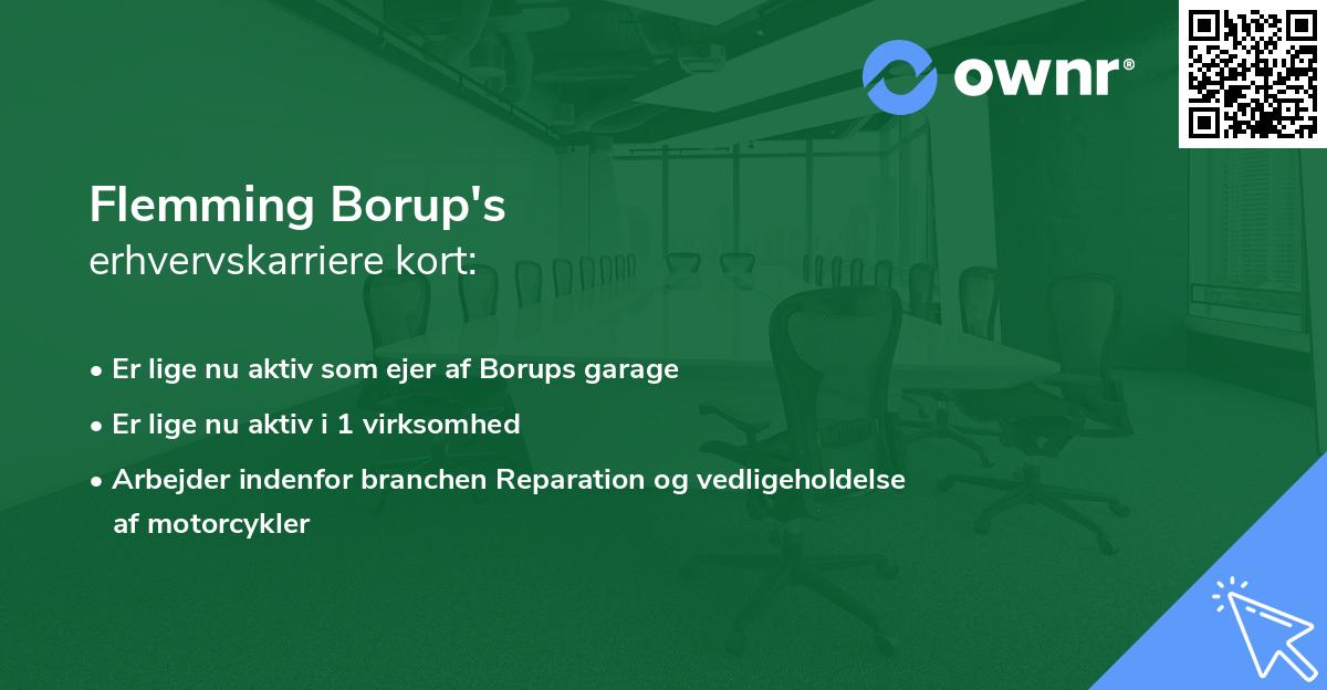 Flemming Borup's erhvervskarriere kort