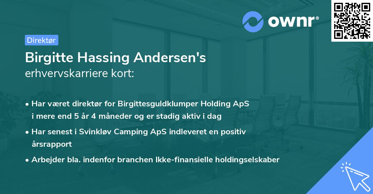 Birgitte Hassing Andersen's erhvervskarriere kort
