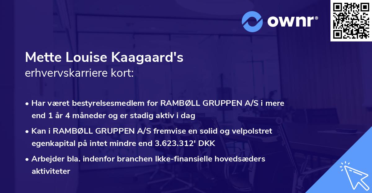 Mette Louise Kaagaard's erhvervskarriere kort