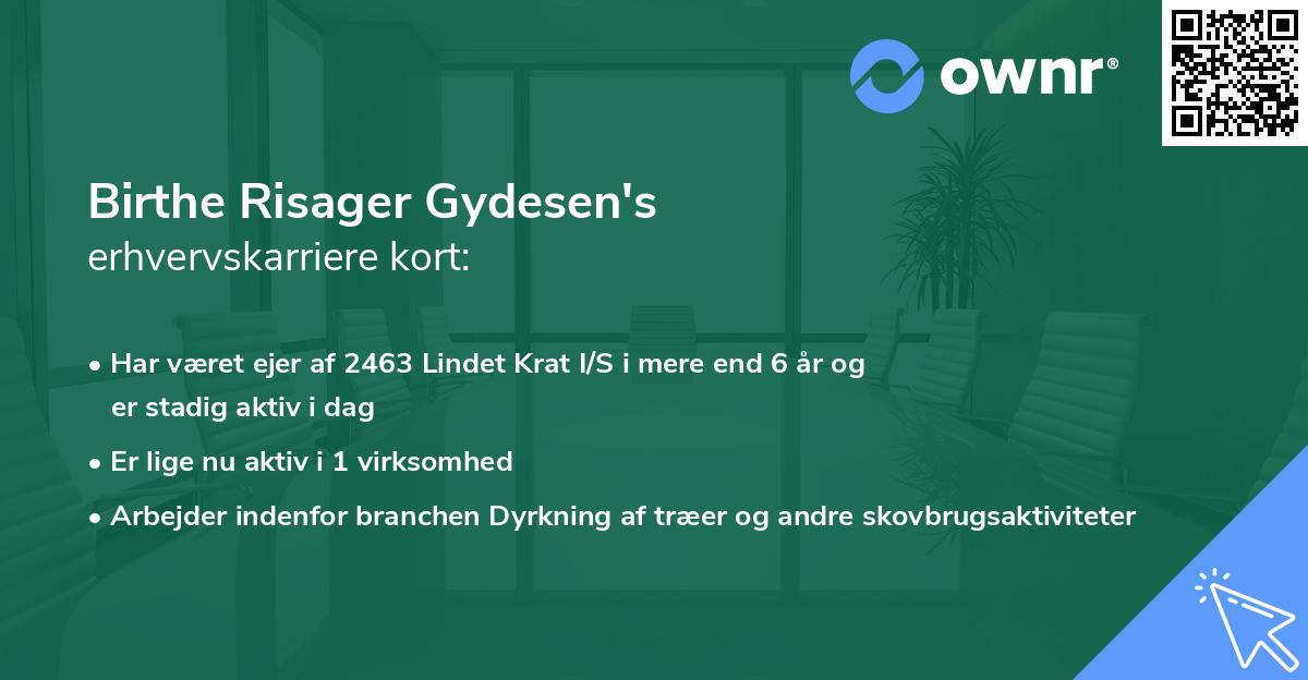 Birthe Risager Gydesen's erhvervskarriere kort