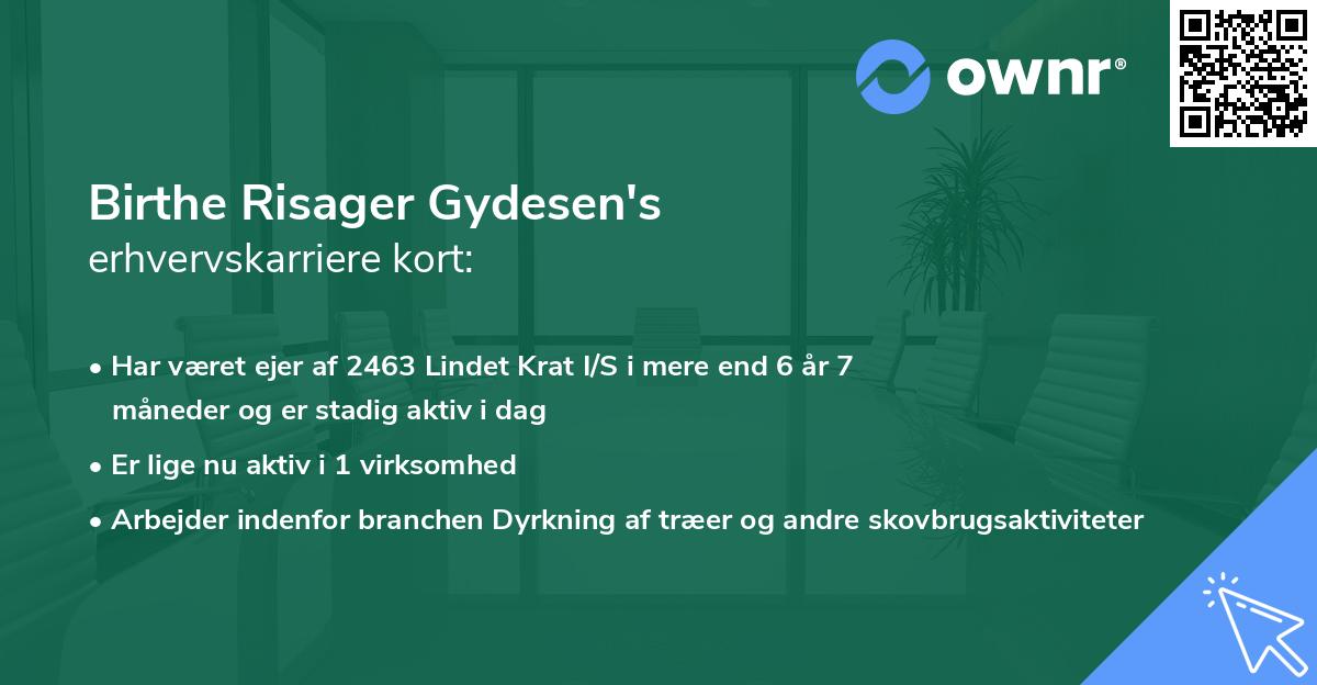 Birthe Risager Gydesen's erhvervskarriere kort